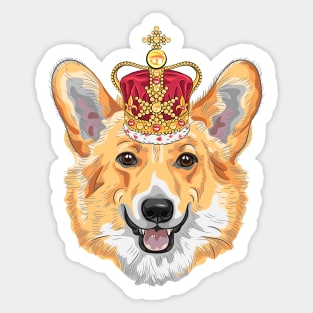 Pembroke Welsh corgi in gold crown Sticker